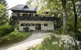 Apartments By Savica